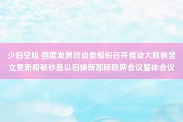 少妇空姐 国度发展改动委组织召开推动大限制竖立更新和破钞品以旧换新部际联席会议整体会议