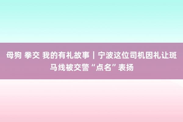 母狗 拳交 我的有礼故事｜宁波这位司机因礼让斑马线被交警“点名”表扬