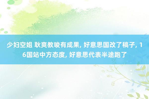 少妇空姐 耿爽教唆有成果, 好意思国改了稿子, 16国站中方态度, 好意思代表半途跑了