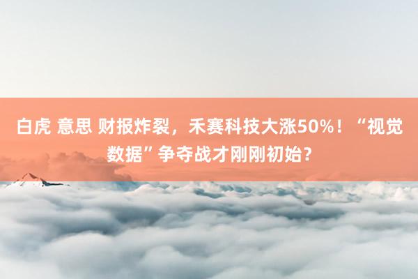 白虎 意思 财报炸裂，禾赛科技大涨50%！“视觉数据”争夺战才刚刚初始？