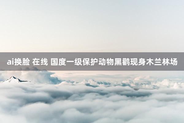 ai换脸 在线 国度一级保护动物黑鹳现身木兰林场
