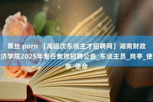 黑丝 porn 【高级次东谈主才招聘网】湖南财政经济学院2025年专任教授招聘公告_东谈主员_岗亭_使命