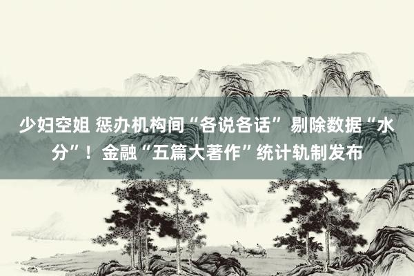少妇空姐 惩办机构间“各说各话” 剔除数据“水分”！金融“五篇大著作”统计轨制发布