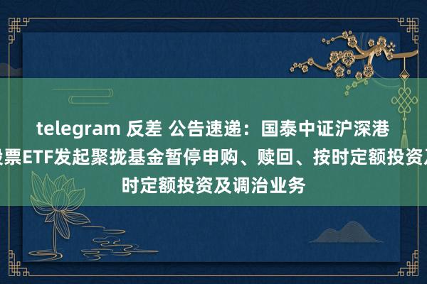 telegram 反差 公告速递：国泰中证沪深港黄金产业股票ETF发起聚拢基金暂停申购、赎回、按时定额投资及调治业务