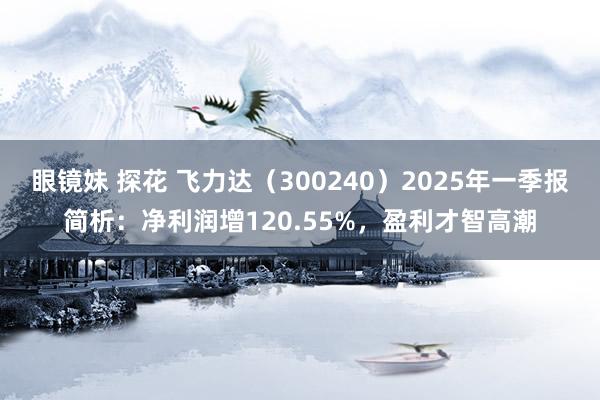 眼镜妹 探花 飞力达（300240）2025年一季报简析：净利润增120.55%，盈利才智高潮